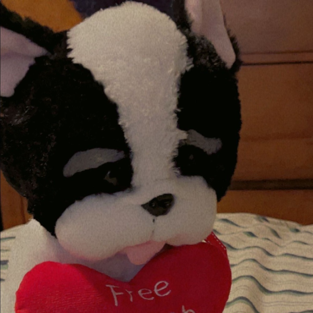 Dog plushie bear plushie